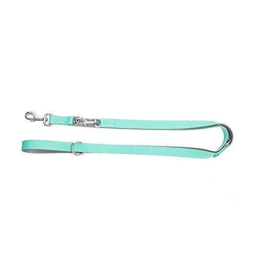 Dingo Lanyard šuniui Energy mint 2,2m