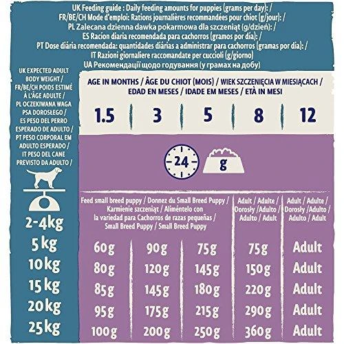 Purina DOG CHOW Puppy su ėriena 14kg