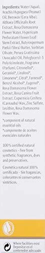 Dr. Hauschka Rose Day Kreminis raminantis dieninis kremas, 30 ml