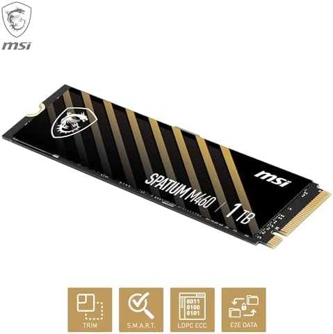 Kietasis diskas SPATIUM M460 PCIe 4.0 NVMe M.2 (1TB)