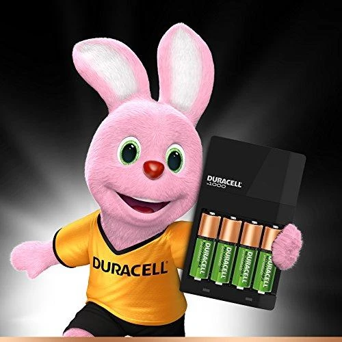 Duracell CEF14 Buitinei baterijai AC