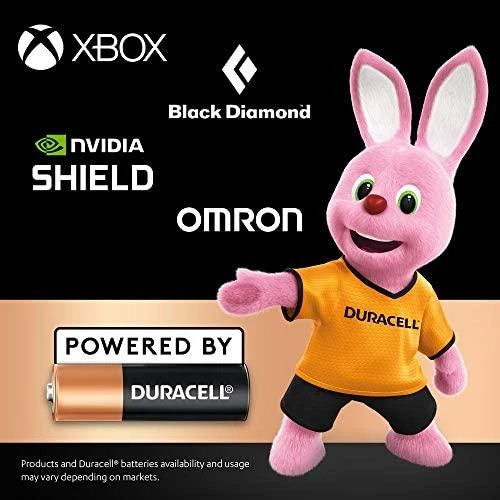 Baterijos DURACELL 2450, 1vnt