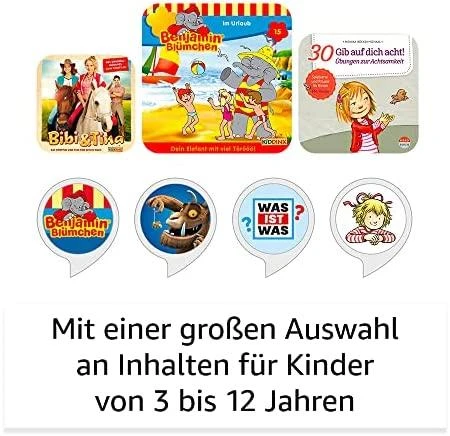 Amazon Echo Dot 5 Eulen Design
