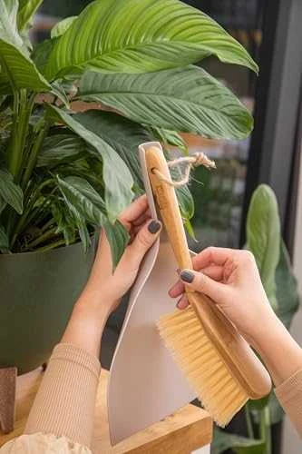 York Eco Natural Semtuvėlis su šluotele Bamboo 062140
