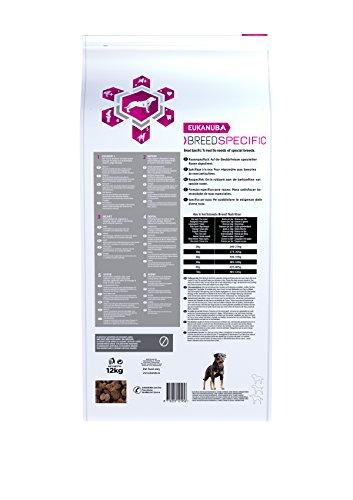 Eukanuba veislės specifinis rotveileris 12kg