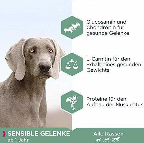 Eukanuba Daily Care jautriems sąnariams suaugusiems 12 kg