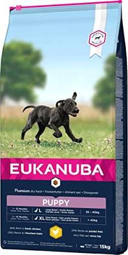 Eukanuba Large Puppy visavertis pašaras didelių veislių jauniems šuniukams su vištiena 15kg