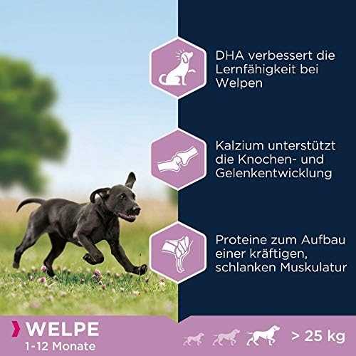 Eukanuba Large Puppy visavertis pašaras didelių veislių jauniems šuniukams su vištiena 15kg