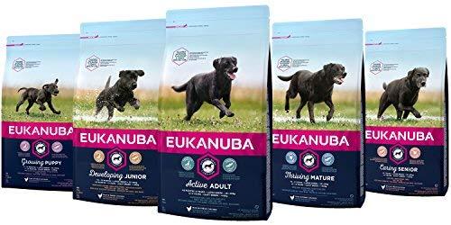Eukanuba Large Puppy visavertis pašaras didelių veislių jauniems šuniukams su vištiena 15kg