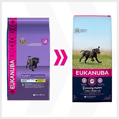 Eukanuba Large Puppy visavertis pašaras didelių veislių jauniems šuniukams su vištiena 15kg