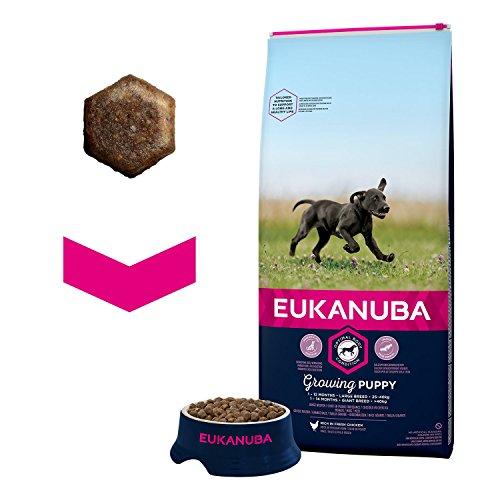 Eukanuba Large Puppy visavertis pašaras didelių veislių jauniems šuniukams su vištiena 15kg