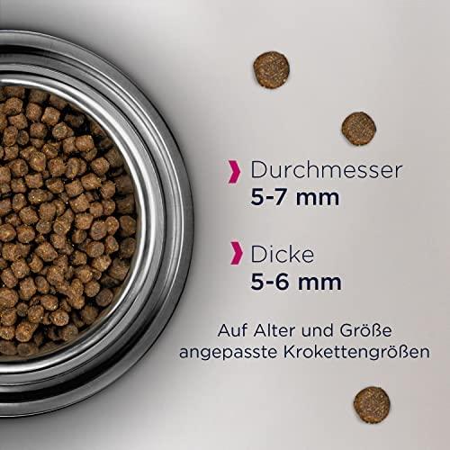 Eukanuba Dog Dry Breed Specific Yorkshire vištiena2kg
