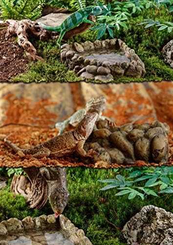 Exoterra Exo Terra - kampinis vandens dubenėlis - ilgis 16 x 18 x 5,5 cm