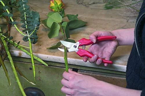 Sekatorius prasilenkiančiais ašmenimis Felco 300