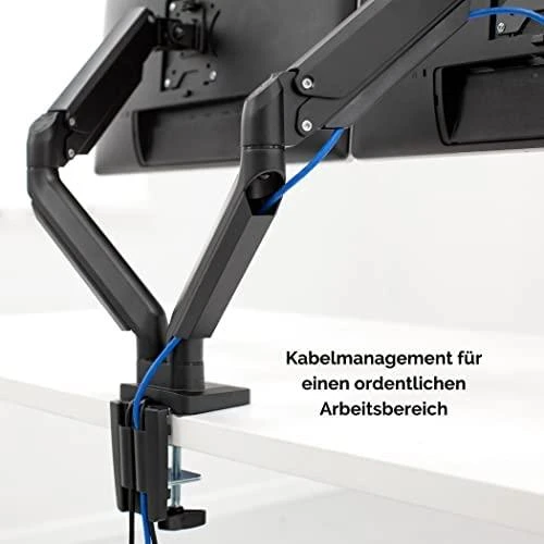 Laikiklis Fellowes | Platinum Series Dual Horizontal Monitorius Arm | 8042501 | Juodas
