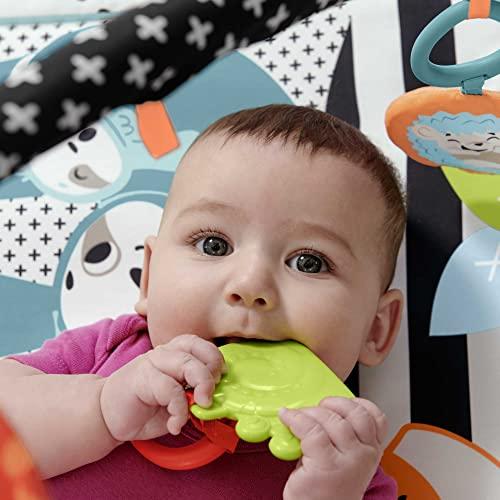 Fisher Price FP veiklos kilimėlis su šviečiančiu ir grojančiu gyvūnėliu