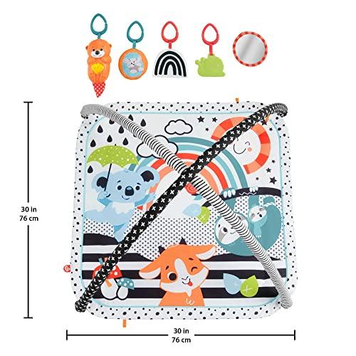 Fisher Price FP veiklos kilimėlis su šviečiančiu ir grojančiu gyvūnėliu