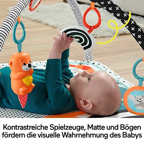 Fisher Price FP veiklos kilimėlis su šviečiančiu ir grojančiu gyvūnėliu