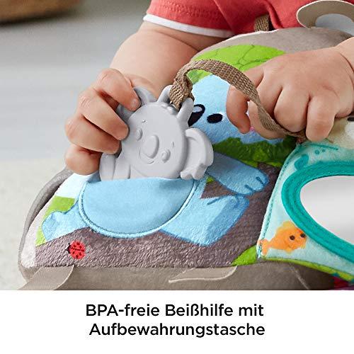 Mattel Veiklos knygelė su gyvūnėliais
