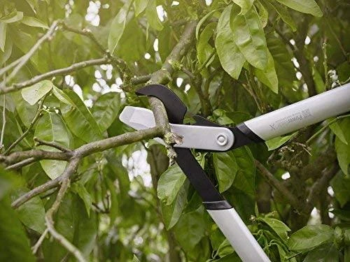 Fiskars PowerGear X sodo žirklės atraminiais ašmenimis LX99, L (1020189)
