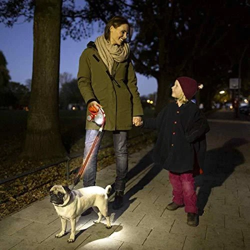 Flexi LED Lighting System žibintuvėlis tinkantis S, M ir L pavadėliams