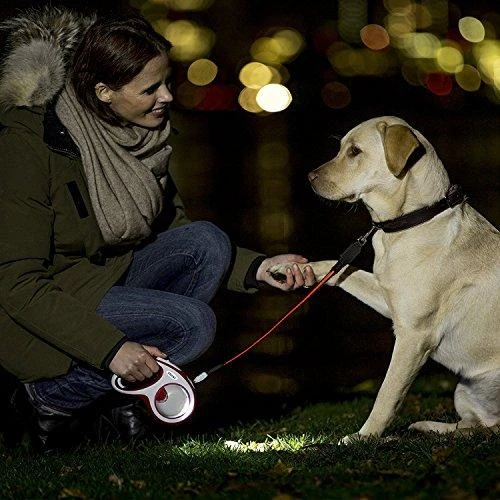 Flexi LED Lighting System žibintuvėlis tinkantis S, M ir L pavadėliams
