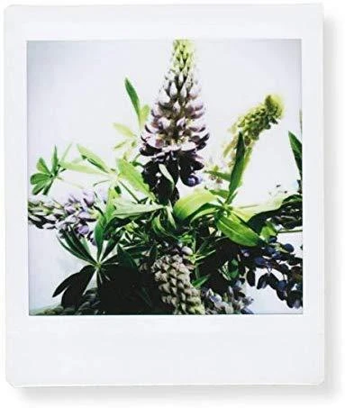 FujiFilm Instax Square Glossy (2x10pl) momentinės fotoplokštelės