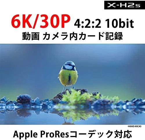 Fujifilm X-H2S Body (Juodas)