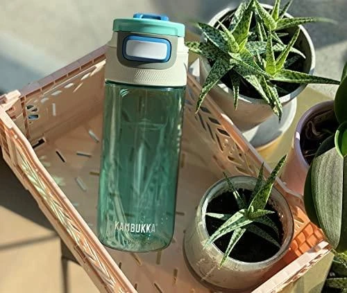 Gertuvė Kambukka Elton Ice Green 11-03020, 500 ml