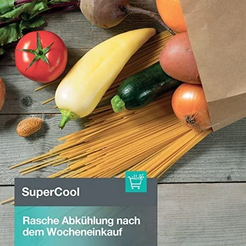 Šaldytuvas GORENJE R619EES5