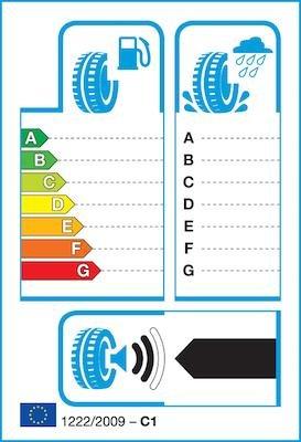 Hankook Padangos Winter i*cept RS2 (W452) 72 T (D C B 72dB)