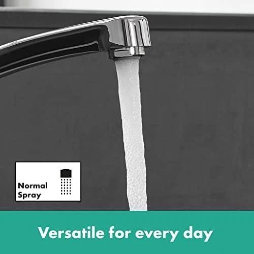 Hansgrohe „Focus 160“ virtuvinis maišytuvas, chromuotas