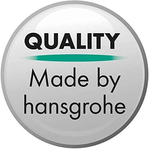 Hansgrohe HG Focus virtuvės maišytuvas, 280° pasukamas snapelis