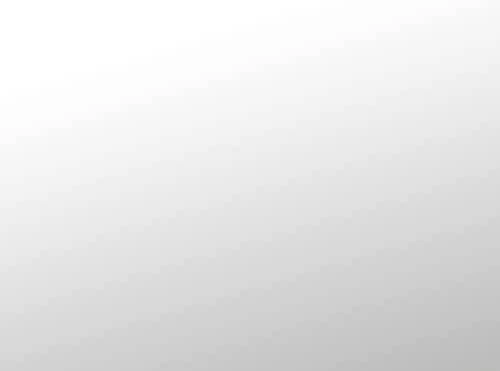 Prie sienos montuojamas tualetinio popieriaus laikiklis Hansgrohe Logis Universal 41726000