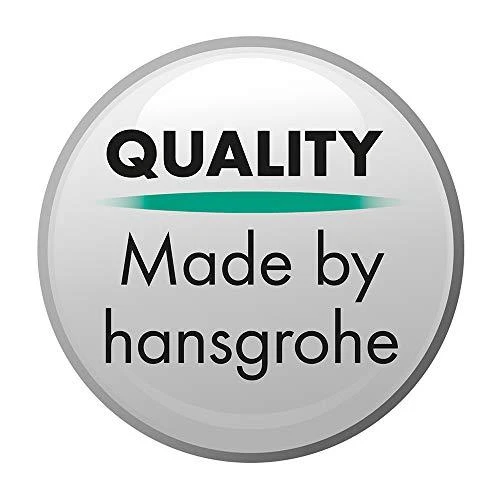 Hansgrohe Focus 100 praustuvo maišytuvas, chromas