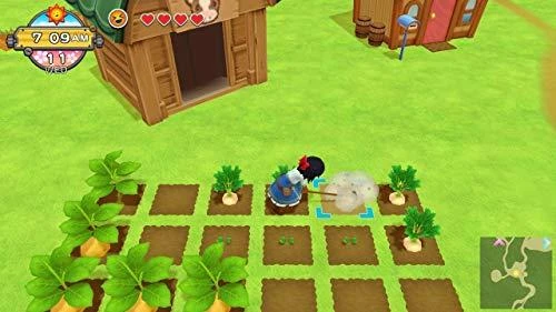 Nintendo Natsume Harvest Moon: Vienas pasaulis