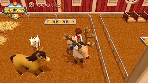 Nintendo Natsume Harvest Moon: Vienas pasaulis