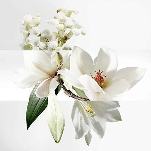 Hermès Un Jardin Sur La Lagune tualetinis vanduo, purškiamas 100ml