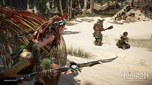 Playstation Studios Sony Horizontas: Forbidden West (PS5) DE versija