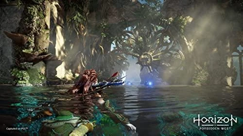 Playstation Studios Sony Horizontas: Forbidden West (PS5) DE versija