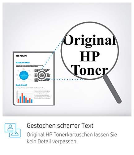 Hewlett Packard (HP) HP Q1956A didelio formato popierius 67,5 m