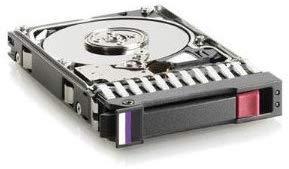 Hewlett Packard (HP) HP serverio diskas 160GB 3.5'' SATA III (6 Gb/s) (397552-001)