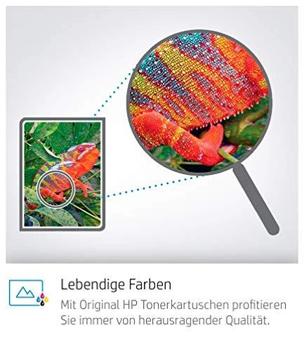 Hewlett Packard (HP) HP Toneris Juodas 42A for LaserJet 4250/4350 (10.000 pages)