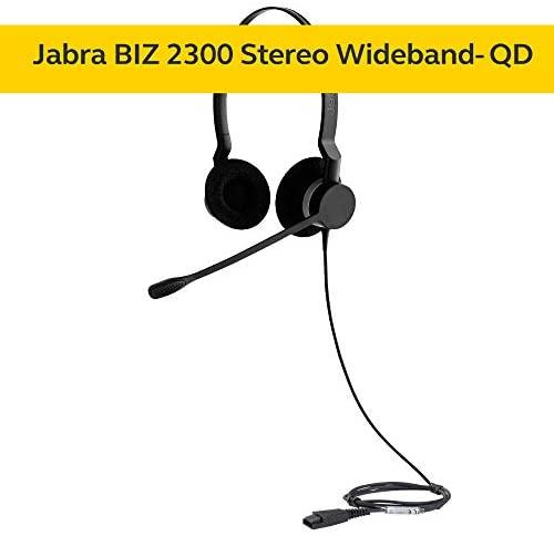 Ausinės Jabra BIZ 2300 Duo, NC, Bal