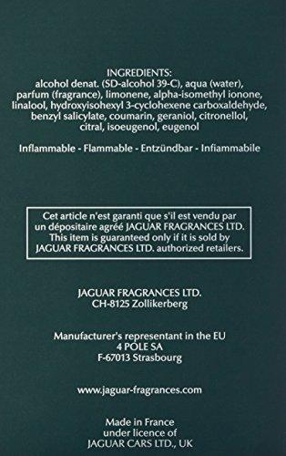 Kvepalai vyrams Jaguar Jaguar EDT, 100 ml