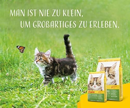 Josera Kitten GrainFree begrūdis sausas maistas kačiukams ir maitinančioms katėms 10kg