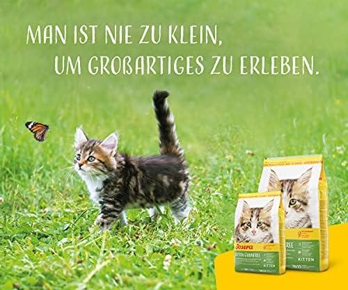 Josera Kitten GrainFree begrūdis sausas maistas kačiukams ir maitinančioms katėms 10kg