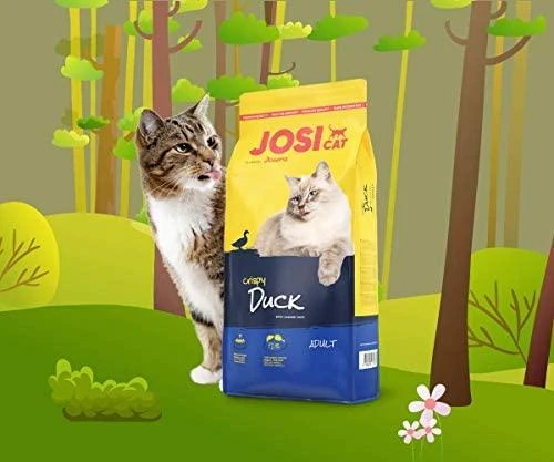 Josera JosiCat Pašaras katėms Crispy antiena 10kg