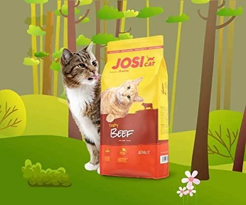 Josera JosiCat Pašaras katėms Tasty jautiena 10kg