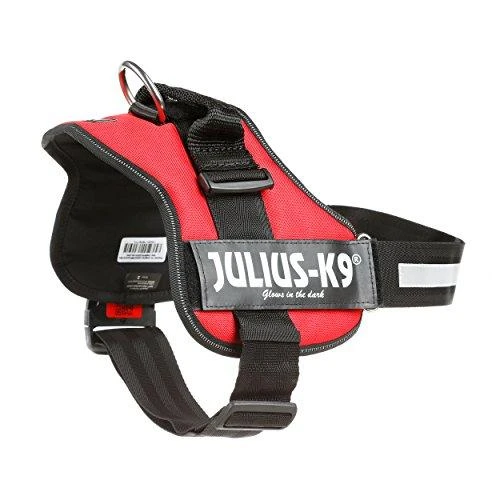 Trixie Petnešos Julius-K9, 2/L–XL: 71–96 cm, raudonos sp.